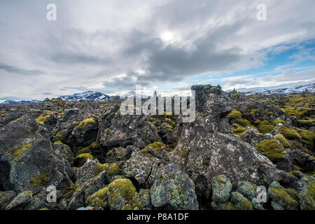 Moss-coperto campo di lava, pietra lavica, campo di lava del vulcano Kothraunskula, Snaefellsnes Peninsula, West Islanda Islanda Foto Stock