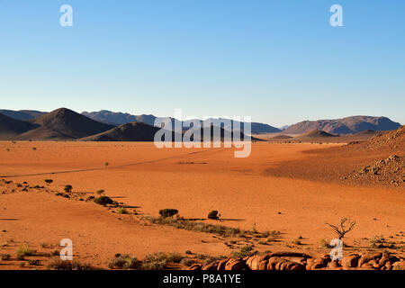 Il paesaggio del deserto, Tiras Mountains, Namibia Foto Stock