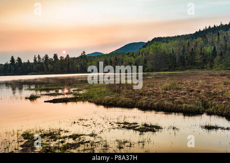 Sunrise a Connery Pond in maggio, Montagne Adirondack, Essex Co., NY Foto Stock