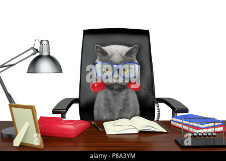 Cute cat seduto sulla sedia in pelle con telefono nella sua bocca. Isolato su bianco Foto Stock