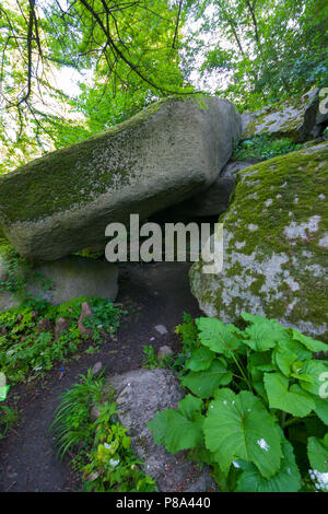 Una enorme montagna di massi di pietra, ricoperta da muschi e piante verdi . Per il vostro design Foto Stock