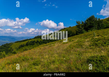 Grassy discesa da una collina alta con rari alberi verdi su un cielo blu in background dei Carpazi . Per il vostro design Foto Stock