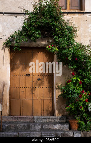 Rose rosse crescono attorno ad una porta di legno in Villalonga de Ter, Catalogna, Spagna Foto Stock