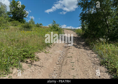 Una montagna strada polverosa che corre lungo un pendio ripido, contro uno sfondo di verdi alberi su entrambi i lati . Per il vostro design Foto Stock