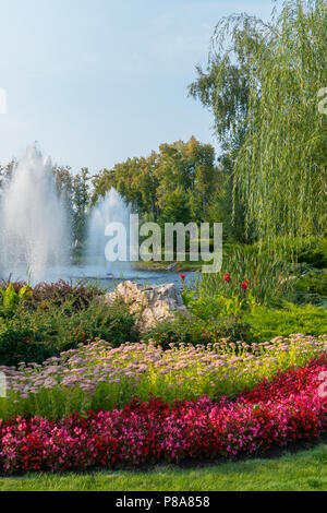 Il letto di fiori è piantato con colore rosso brillante begonie sulla riva del lago con fontane. La zona di ricreazione . Per il vostro design Foto Stock