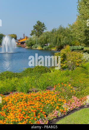 Un letto floreale di larve sul lago con fontane vicino alla casa in un bellissimo parco. Mezhyhir'ya. L'Ucraina . Per il vostro design Foto Stock