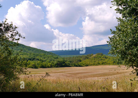 Soffici nuvole bianche al di sopra di una fitta foresta di montagna e una valle coperta con golden erbe . Per il vostro design Foto Stock