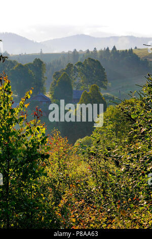 Foschia mattutina sulle cime delle montagne e degli alberi e i primi raggi del sole nascente. La bellezza e la tranquillità della natura. . Per il vostro design Foto Stock