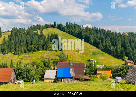 Verde scuro dei Pini scendono le colline erbose direttamente al villaggio . Per il vostro design Foto Stock