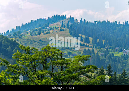 La cima del monte su cui i supporti del sollevatore sulla cancellata dall'area forestale sono installati . Per il vostro design Foto Stock