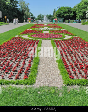 Arabesque letto di fiori di rosso le begonie e erba verde sulla piazza vicino alla fontana . Per il vostro design Foto Stock