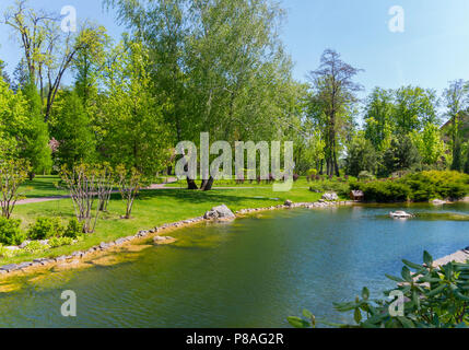 Un bel giorno di estate in un parco con un vento leggero sollevamento di un piccolo ripple sulla superficie dello stagno e delle ondeggianti rami di betulle crescente sul sh Foto Stock