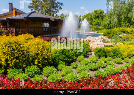 Lussureggiante alte fontane sul lago nel parco vicino al letto di fiori con red begonie . Per il vostro design Foto Stock