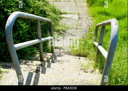 Una parte di un percorso di pietra e gradini in un parco incolto Foto Stock