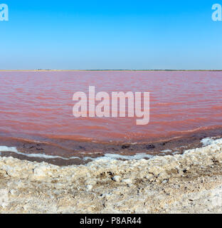 Rosa estremamente salato Lago Syvash colorati, da microalghe con sale cristallino deposizioni. Noto anche come il mare in putrefazione o mare marcio. Ucraina, Kherso Foto Stock
