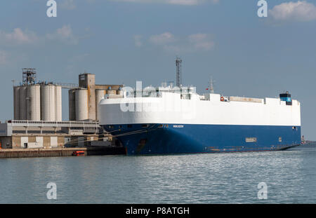 Il Vichingo il destino di una vettura e autocarro portante a fianco della nave al porto di Southampton, Inghilterra meridionale, Regno Unito Foto Stock