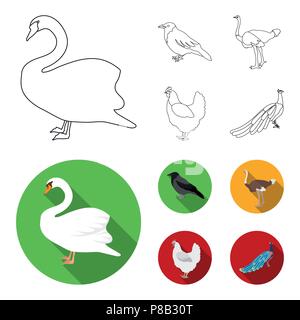 Crow, struzzo, pollo, Peacock. Gli uccelli set di icone di raccolta in profilo,stile piatto simbolo vettore illustrazione stock . Illustrazione Vettoriale