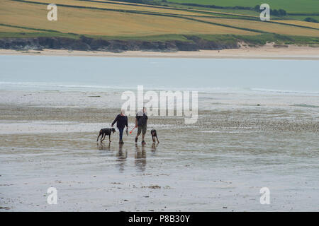 Dog walkers su una spiaggia Foto Stock