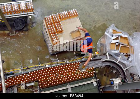 Imbottigliamento di linea di produzione, Healeys Cornish sidro Farm,Penhallow, Truro,Cornwall,l'Inghilterra,UK Foto Stock