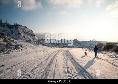 Vista posteriore della donna e il cane a camminare insieme sulla strada innevata in montagna Foto Stock