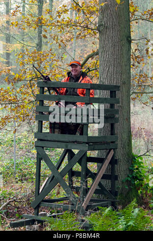 Big Game Hunter vestito in arancione in attesa in pelle sollevata a sparare cervi nel bosco durante la stagione di caccia in autunno Foto Stock