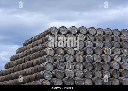 Grandi pile di scartato botti di whisky / barrels at Speyside Cooperage, Craigellachie, Aberlour, Banffshire, Grampian, Scotland, Regno Unito Foto Stock