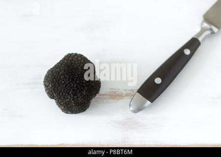 Fungo tartufo nero su un tavolo di legno. Trovato in Moldavia nel luglio 2018. Messa a fuoco selettiva. Foto Stock