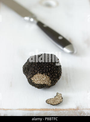 Fungo tartufo nero su un tavolo di legno. Trovato in Moldavia nel luglio 2018. Messa a fuoco selettiva. Foto Stock