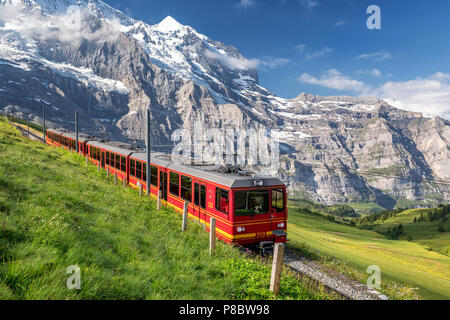 Treno dalla stazione ferrovia della Jungfrau vicino a Kleine Scheidegg, Oberland bernese, Svizzera Foto Stock