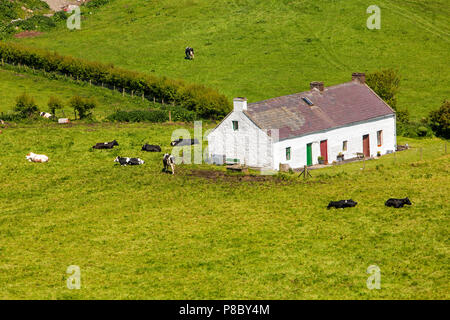 Regno Unito e Irlanda del Nord, Co Antrim, Islandmagee, Gobbins Road, Burnside Cottage utilizzato come casa vacanze fin dai primi del novecento Foto Stock