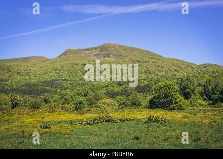 Picco Tarnica visto dal villaggio Wolosate in Western monti Bieszczady in Polonia, la montagna più alta nella parte polacca di Bieszczady Foto Stock
