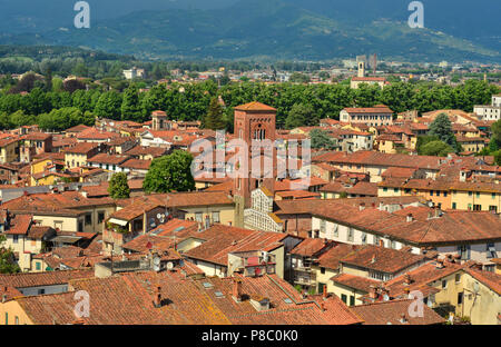 Centro storico di Lucca panorama medievale con la Chiesa di San Pietro Foto Stock