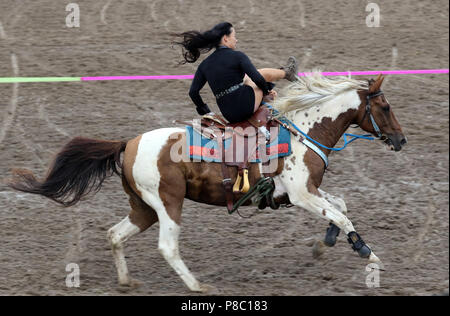 Ganschow Gestuet, grafico, trucco di equitazione in al galoppo Foto Stock