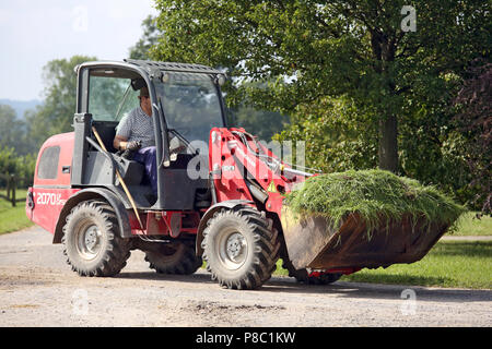 Gestuet Goerlsdorf appena erba rasata viene trasportato in una benna Foto Stock