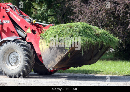 Gestuet Goerlsdorf appena erba rasata viene trasportato in una benna Foto Stock