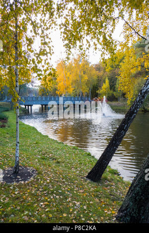 Un elegante autunno vista dalla riva del fiume con una battitura fontana nel mezzo di un ponte pedonale contro lo sfondo di alberi vestito Foto Stock