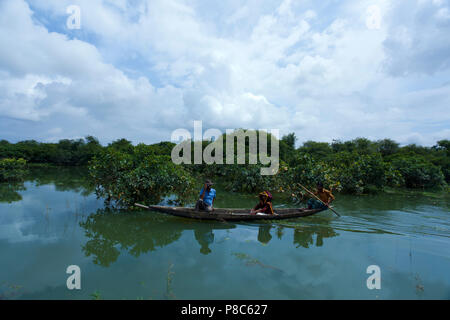 Ratargul è un acqua dolce palude foresta situato in Sylhet dal fiume di Goain. Questa foresta sempreverde è sempre sommersa da 20 a 30 piedi acqua Foto Stock