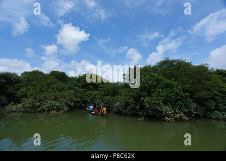 Ratargul è un acqua dolce palude foresta situato in Sylhet dal fiume di Goain. Questa foresta sempreverde è sempre sommersa da 20 a 30 piedi acqua Foto Stock