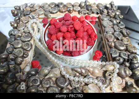 Appetitosi succosa freschi dolci frutti maturi preparare per il dessert Foto Stock