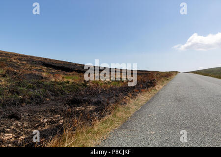 Sally Gap, Wicklow, Irlanda. 10 Luglio 2018: danni devastanti fatto dai recenti incendi gorse al Sally Gap in Wicklow Mountains. A covare ancora visibile in alcune parti con fumo deriva oltre l'bogland. Credito: Michael Grubka/Alamy Live News Foto Stock