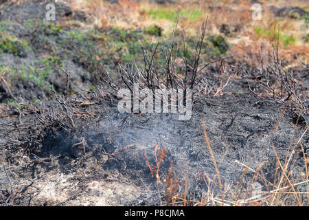 Sally Gap, Wicklow, Irlanda. 10 Luglio 2018: danni devastanti fatto dai recenti incendi gorse al Sally Gap in Wicklow Mountains. A covare ancora visibile in alcune parti con fumo deriva oltre l'bogland. Credito: Michael Grubka/Alamy Live News Foto Stock