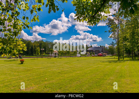 Un luminoso prato verde nel parco su una soleggiata giornata chiara con un padiglione coperto la distanza, contro un luminoso cielo blu con nuvole bianche. . Per il vostro Foto Stock