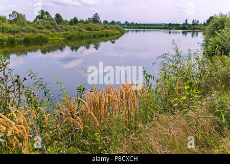 Una bellissima vista della natura pittoresca crescente sulle rive di un fiume largo con un ghiacciaio di superficie di acqua e riflessa in esso il cielo con le nuvole. Foto Stock