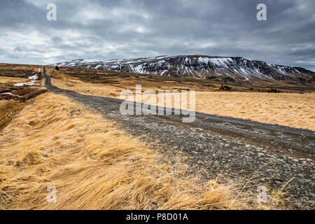 Strada di ghiaia in Islanda, vicino a Golden Circle, natura paesaggio Foto Stock