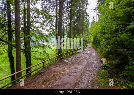 Un percorso in un bosco con cespugli su un lato e una recinzione di legno fatto di sottili pali con gli altri andare al lago che può essere visto attraverso il fogliame Foto Stock