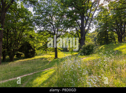 Calpestata percorsi nell'erba verde tra gli alberi secolari del parco . Per il vostro design Foto Stock