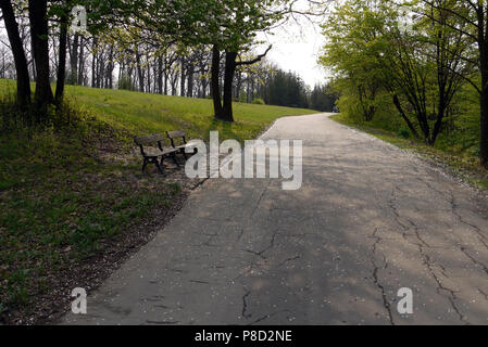 Deserto panche nell'ombra di alberi in piedi vicino a una strada con asfalto screpolato . Per il vostro design Foto Stock