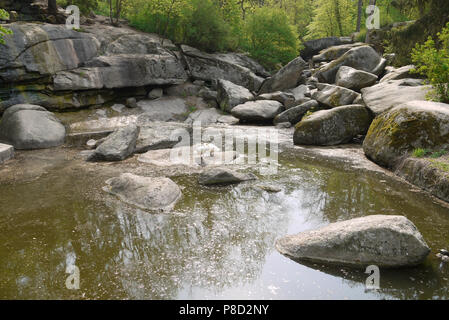 Parzialmente essiccate forest brook tra grandi pietre. Su una di esse vi sono due uccelli bianco . Per il vostro design Foto Stock