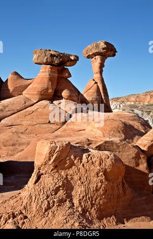 .UTAH - i Toadstools dove dove harden massi rotolare giù dalle scogliere sopra e proteggere la pietra arenaria più morbido al di sotto da erosione. Foto Stock