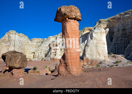 UTAH - i Toadstools dove harden massi rotolare giù dalle scogliere sopra e proteggere la pietra arenaria più morbido al di sotto da erosione. Foto Stock